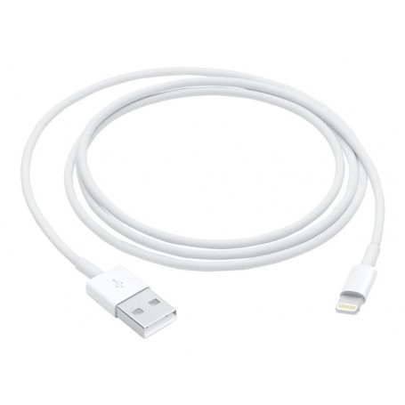 Cavo Lightning Lightning (M) a USB (M) 1m per iPad/iPhone/iPod (Lightning)