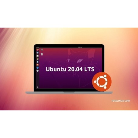 Ubuntu 20.04.1 LTS (Focal Fossa)