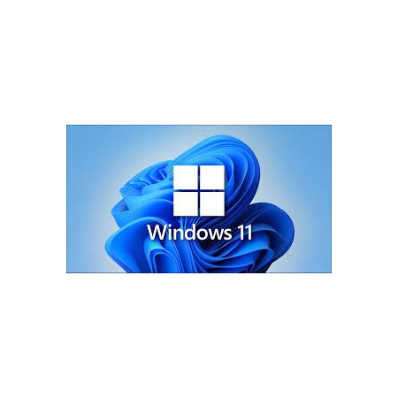 WINDOWS 11 HOME 64BIT ITALIANO 1PK  DVD