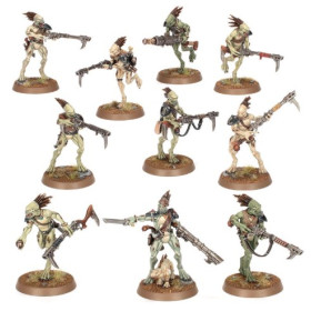 KROOT CARNIVORI