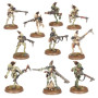 KROOT CARNIVORI