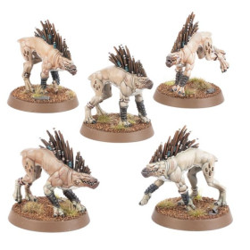KROOT SEGUGI