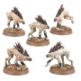 KROOT SEGUGI