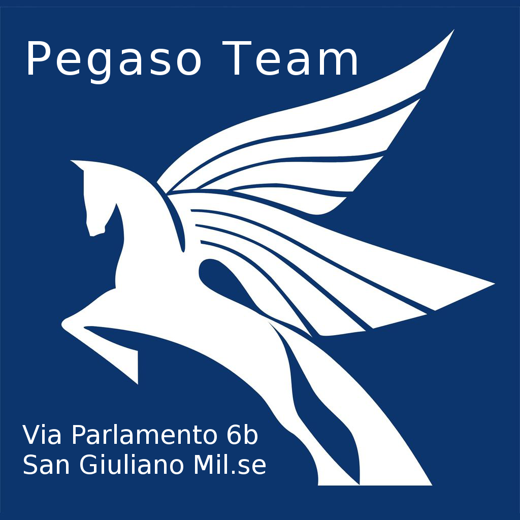 Pegaso Team Informatica